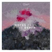 VA - Notes From The Depth Vol 18-2021 FLAC