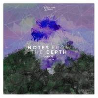 VA - Notes From The Depth Vol 19-2021 FLAC