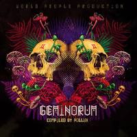 VA - Geminorum 2022 FLAC