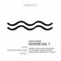 VA - Lake Underground Music Pres. Divers, Vol. 1 [Lake Underground Music] FLAC-2022