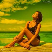 VA - Summer Vibes (2022) [FLAC]