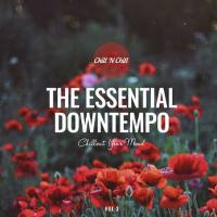 VA - The Essential Downtempo, Vol. 3_ Chillout Your Mind (2022) [FLAC]