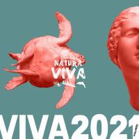 VA - Viva 2021.2 2022 FLAC