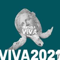 VA - Viva 2021.4 2022 FLAC