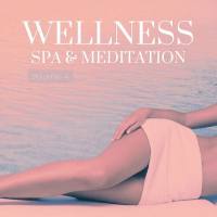 VA - Wellness, Spa & Meditation, Vol. 4 (2022) [FLAC]
