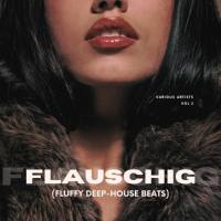 Various Artists - Flauschig (Fluffy Deep-House Beats), Vol. 2 (2022 - House) [Flac 16-44]