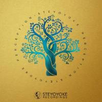 VA - Steyoyoke Perception, Vol. 07-2020