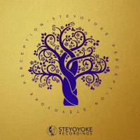 VA - Steyoyoke Perception, Vol. 09-2022